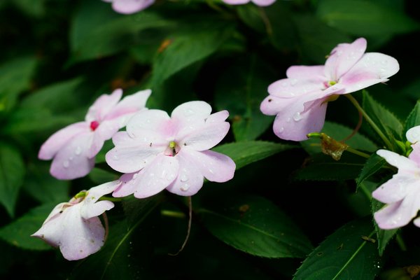 Trouver la Meilleure Robinetterie en Ligne : Votre Guide d'Achat Complet