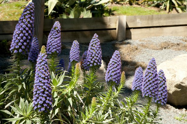 Oreiller hôtel haut de gamme : le luxe du sommeil à domicile